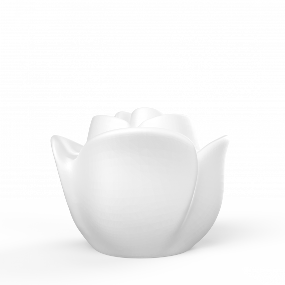 Светильник Rose белого цвета 