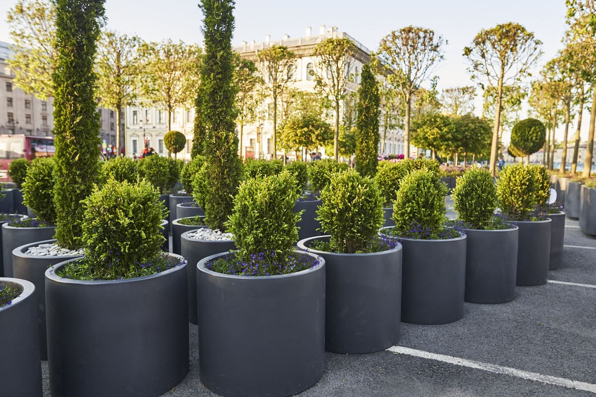 Сад на Исаакиевской площади Сад на Исаакиевской площади - проекты Berkano - фото 4