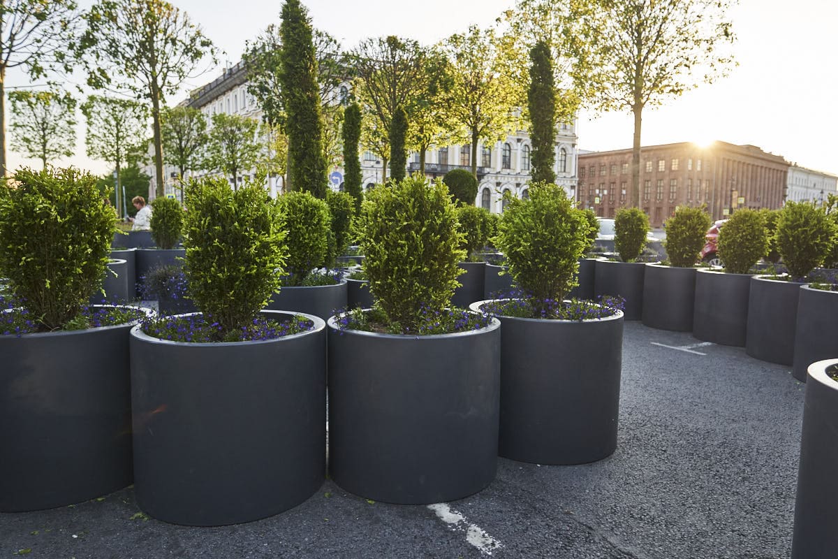 Сад на Исаакиевской площади Сад на Исаакиевской площади - проекты Berkano - фото 8