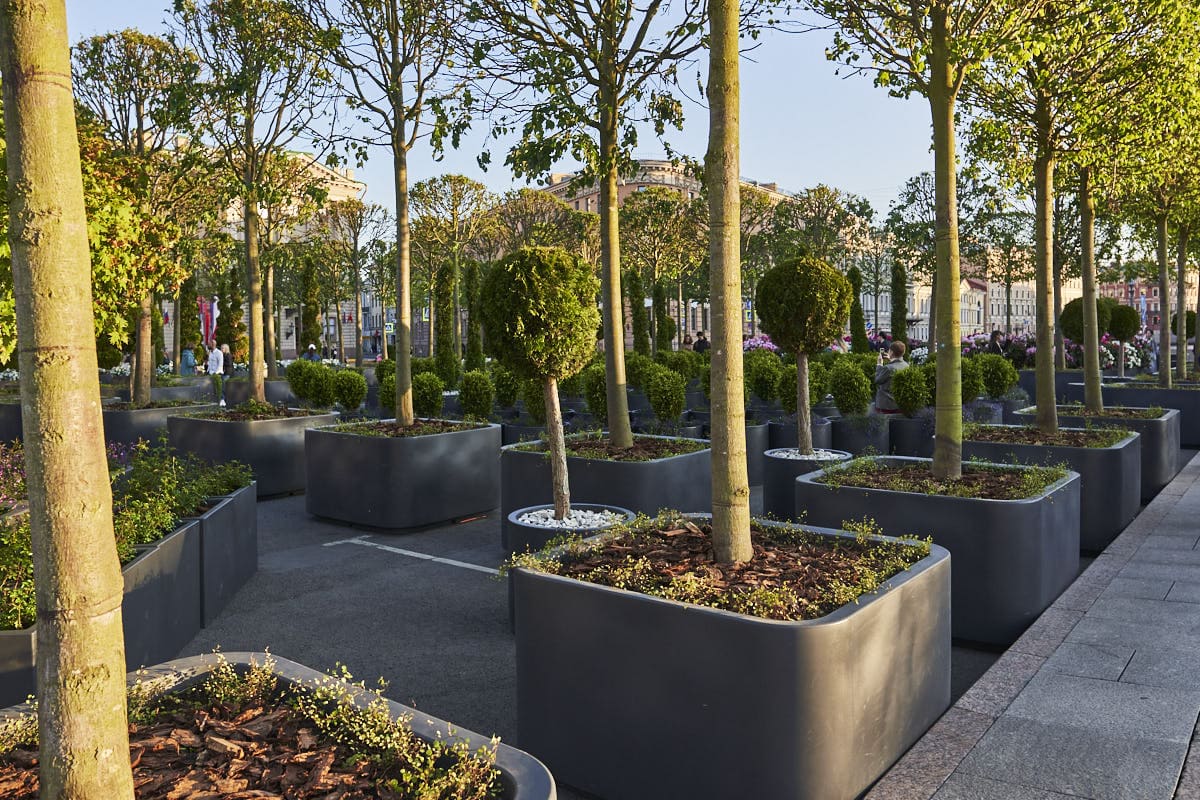 Сад на Исаакиевской площади Сад на Исаакиевской площади - проекты Berkano - фото 14