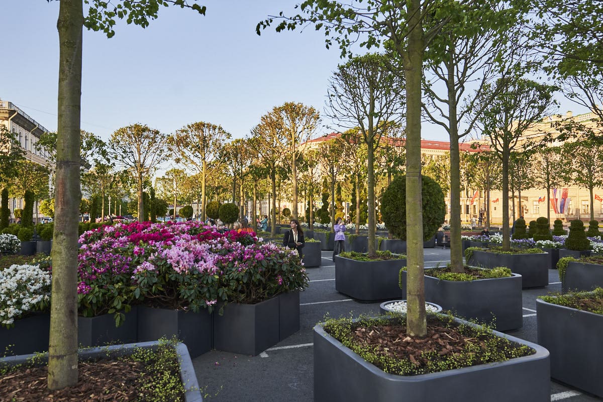 Сад на Исаакиевской площади Сад на Исаакиевской площади - проекты Berkano - фото 15