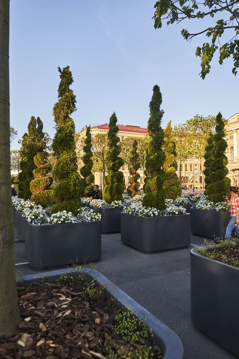 Сад на Исаакиевской площади Сад на Исаакиевской площади - проекты Berkano - фото 13