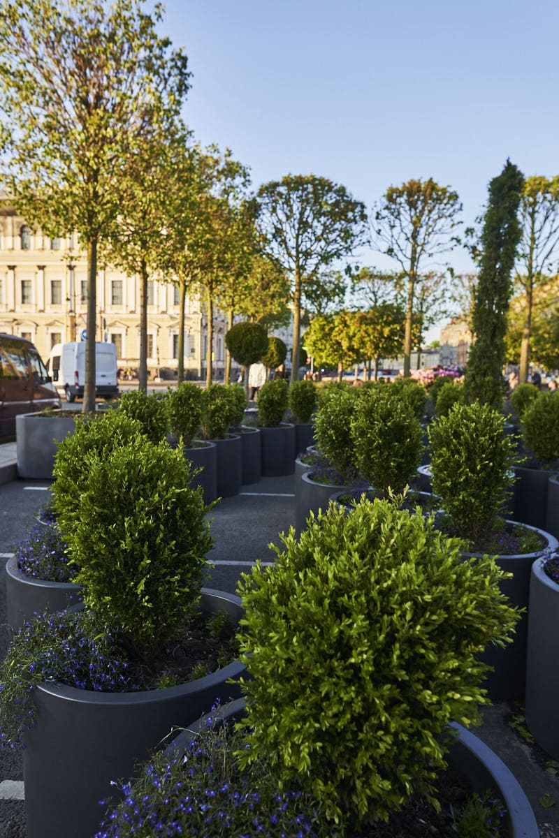 Сад на Исаакиевской площади Сад на Исаакиевской площади - проекты Berkano - фото 3