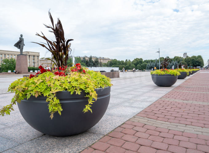 Благоустройство Санкт-Петербурга 2024