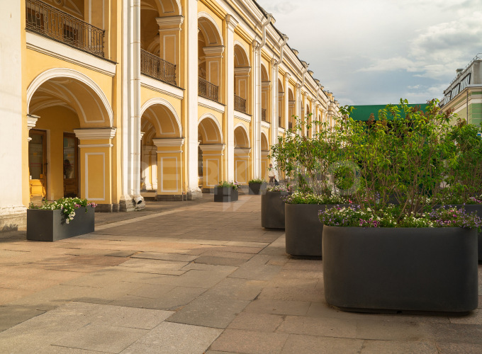 Думская улица