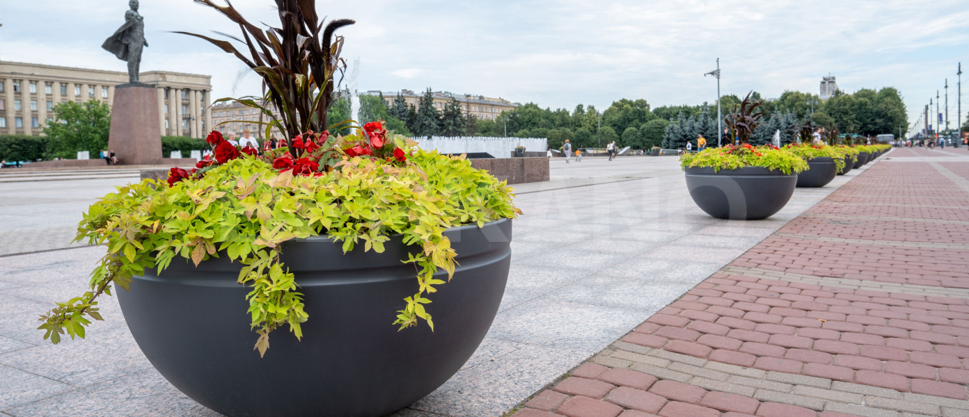 Благоустройство Санкт-Петербурга 2024