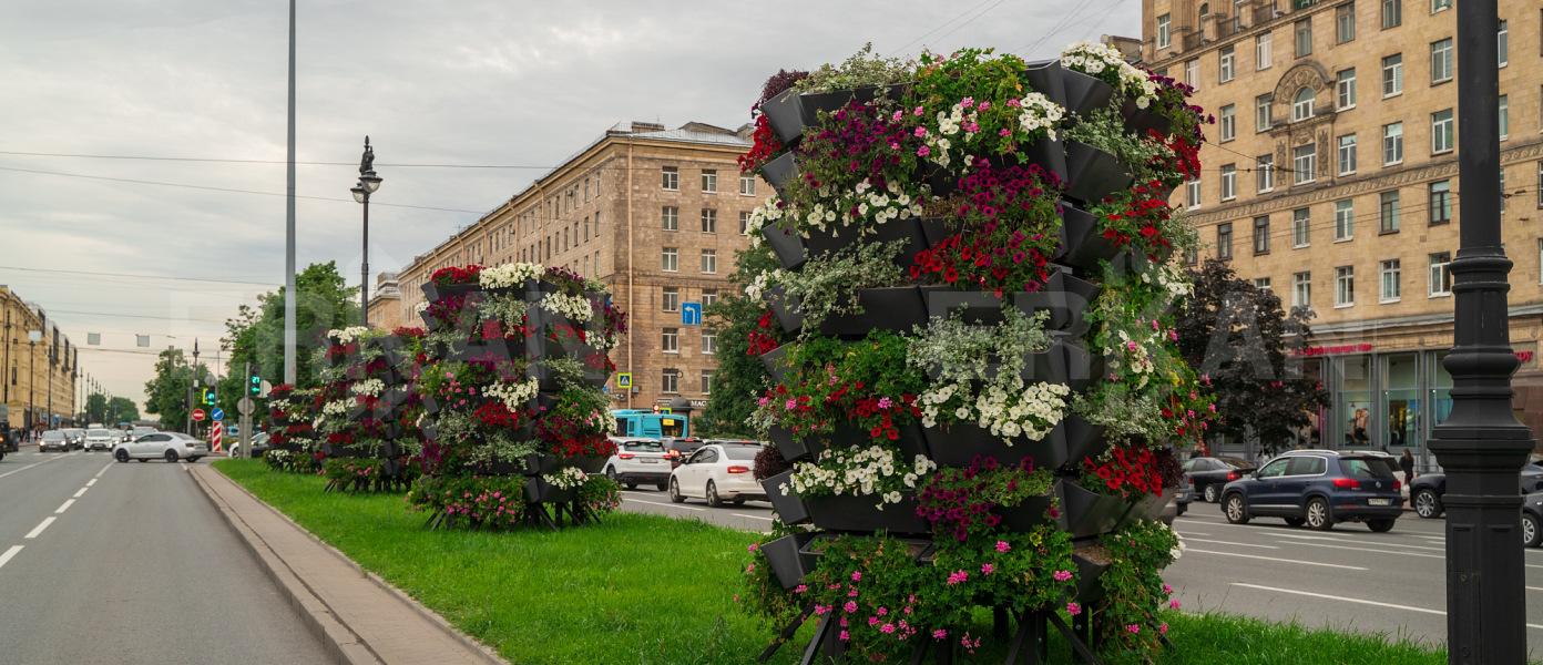 Вертикальное озеленение Санкт-Петербурга 2025