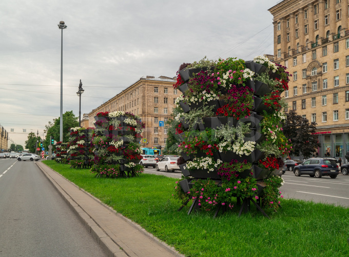 Вертикальное озеленение Санкт-Петербурга 2025